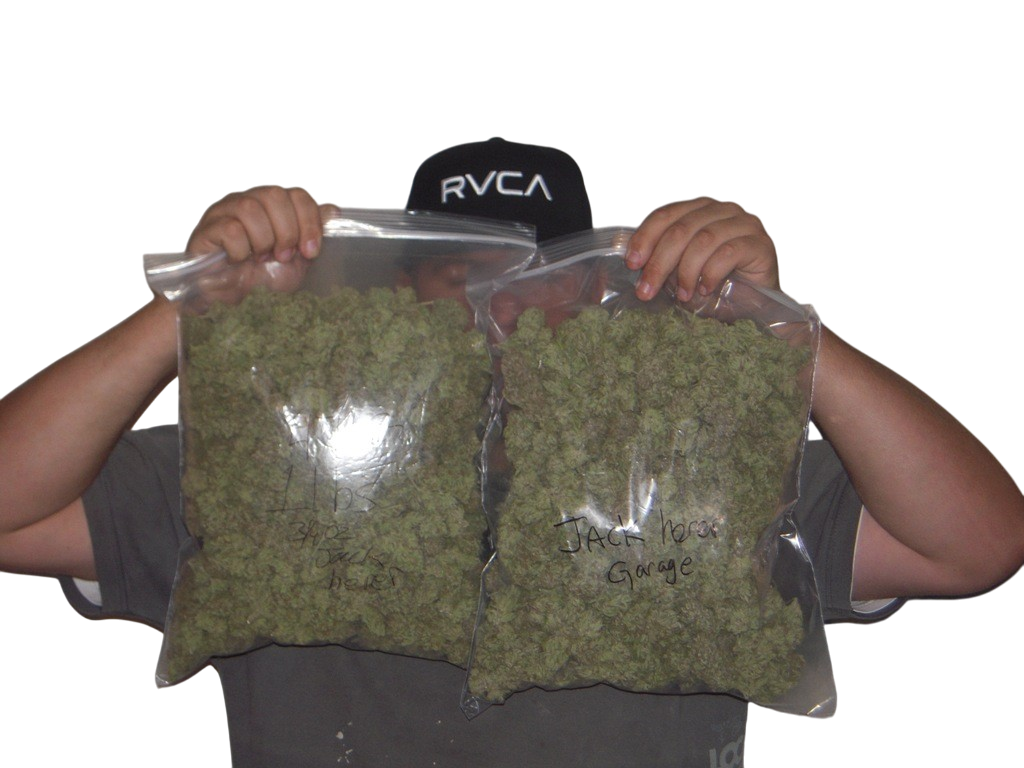 Loud Pack (1 LB)